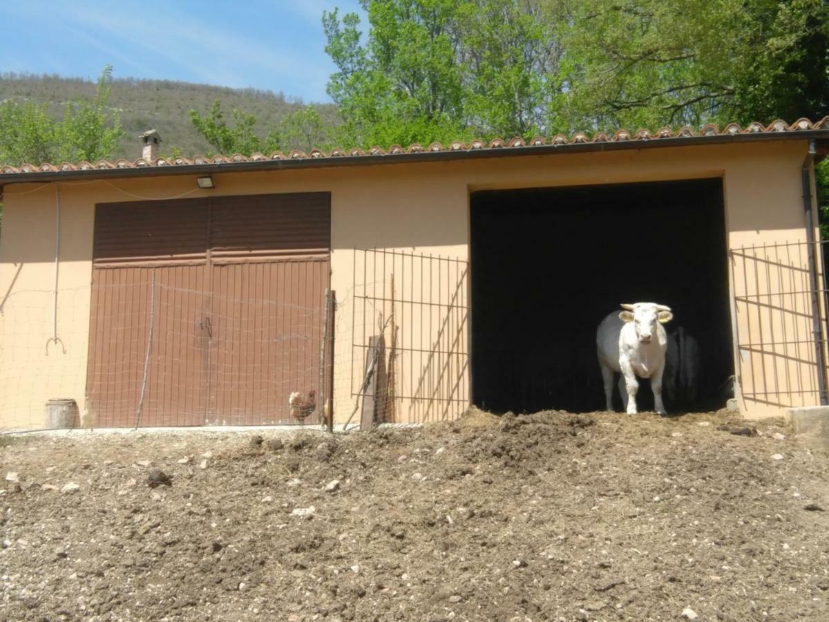 Agriturismo Tre Monti Meggiano Εξωτερικό φωτογραφία