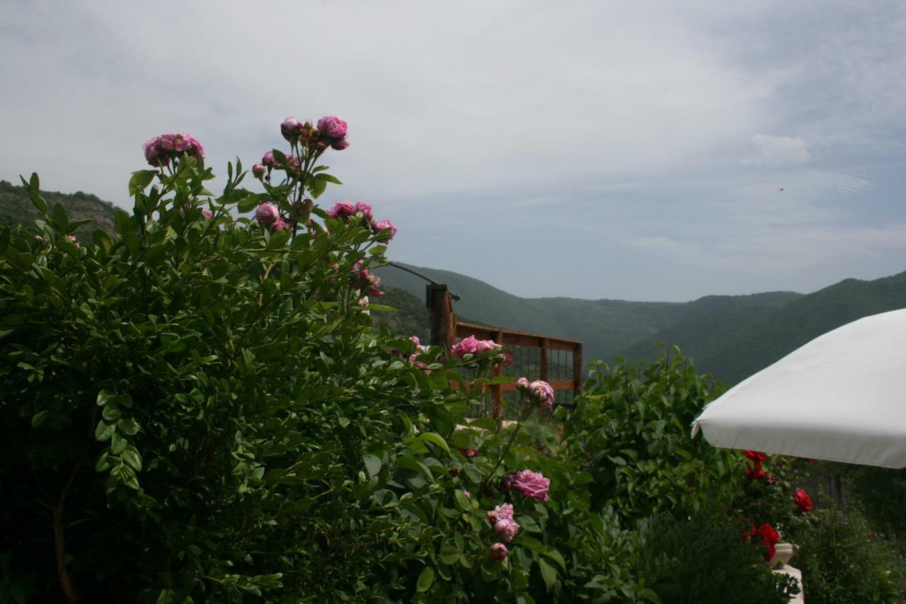 Agriturismo Tre Monti Meggiano Εξωτερικό φωτογραφία